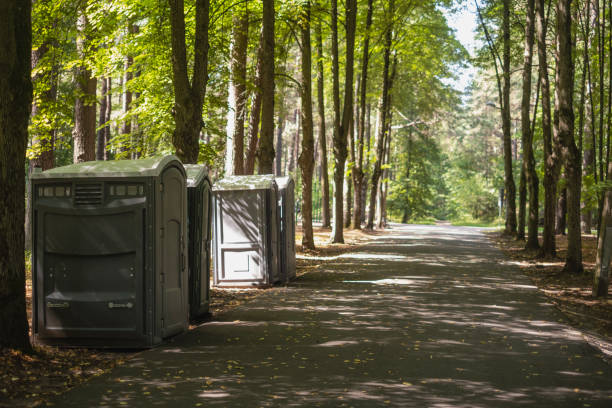 Best Portable restroom trailer rental  in Johnson Lane, NV